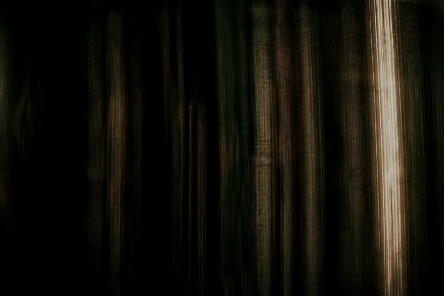 Long-exposure photograph of leather ledger spines pulled into vertical brown and gold striations.